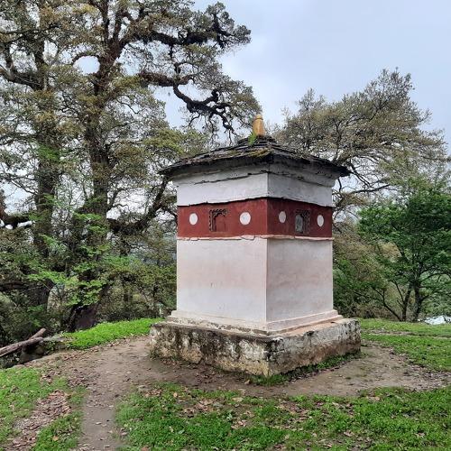 Photo #4622760