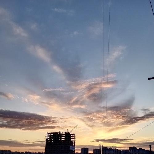 Photo #4622855
