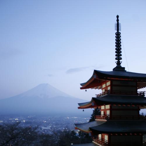 Photo #4623050