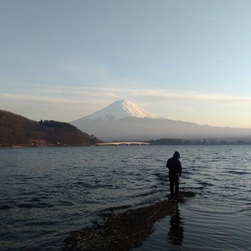 Photo #4623051