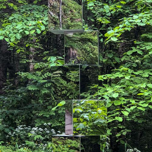 Natural cubism