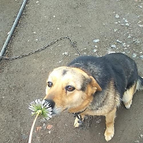 Photo #4623290