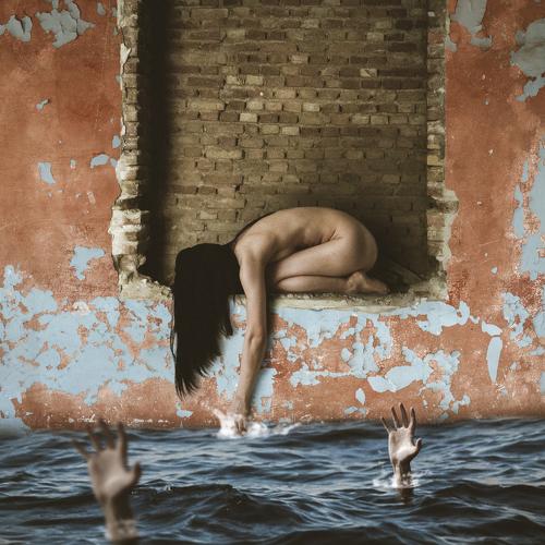 Photo #4623415