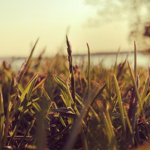 Photo #4623614