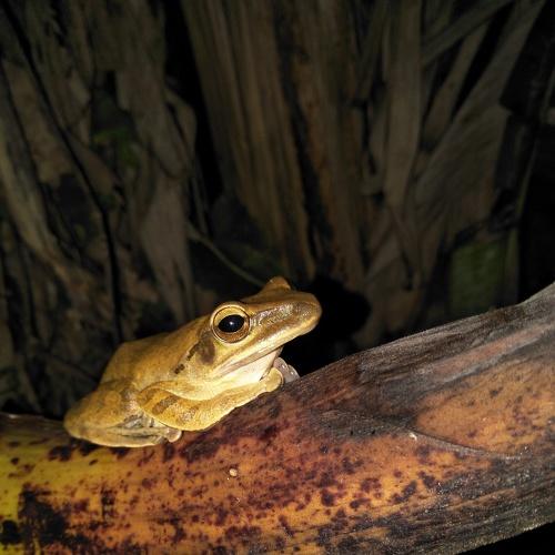 Photo #4624077