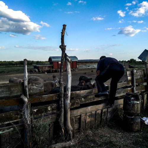 Photo #4624455