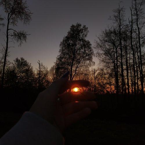 Photo #4624717