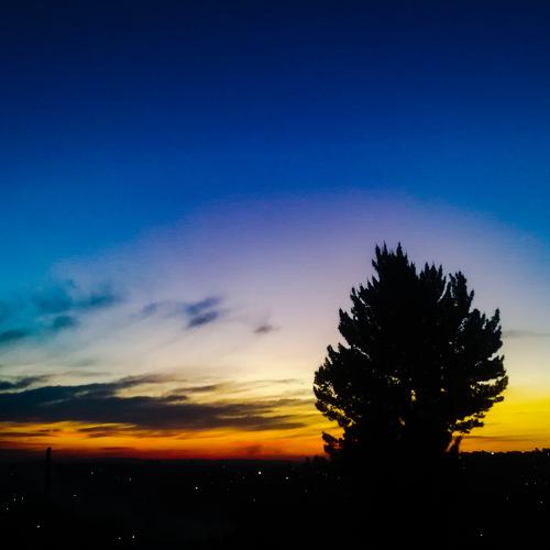 Photo #4624867