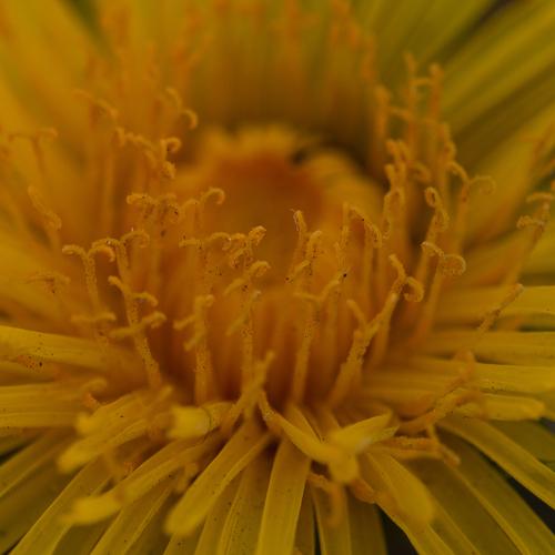 Photo #4624921