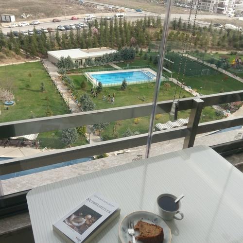 Photo #4625102