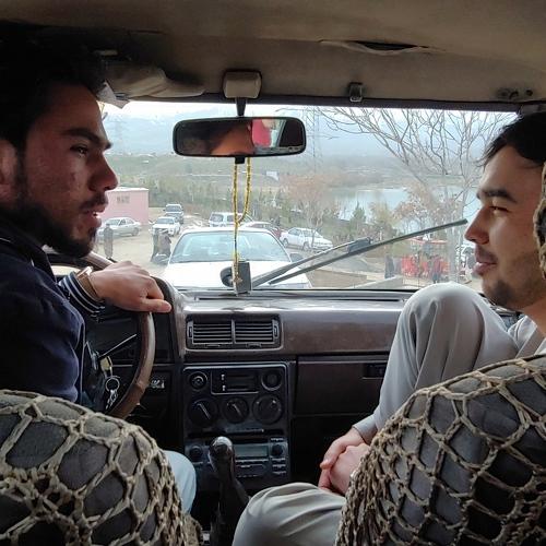 Photo #4625356