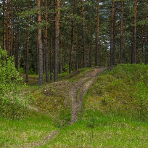 Photo #4625621