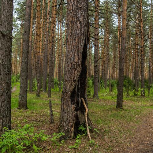 Photo #4625692
