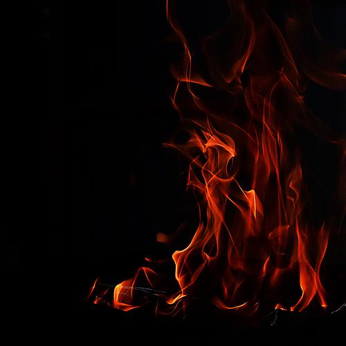 Photo #4625734