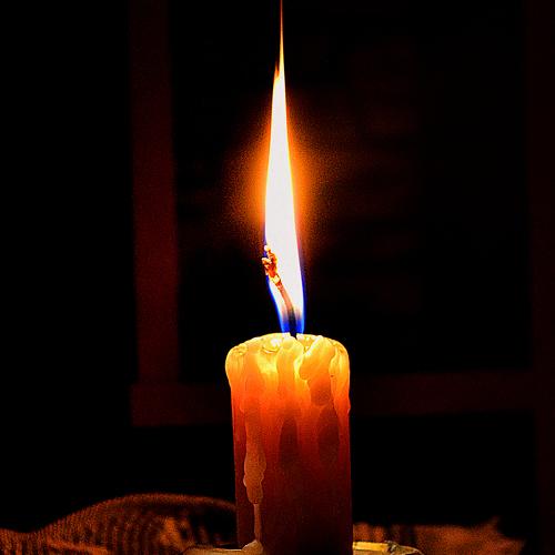 Photo #4625736