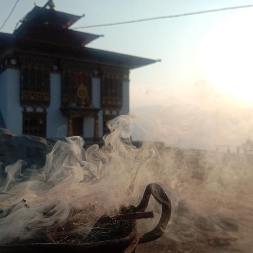 Photo #4625811