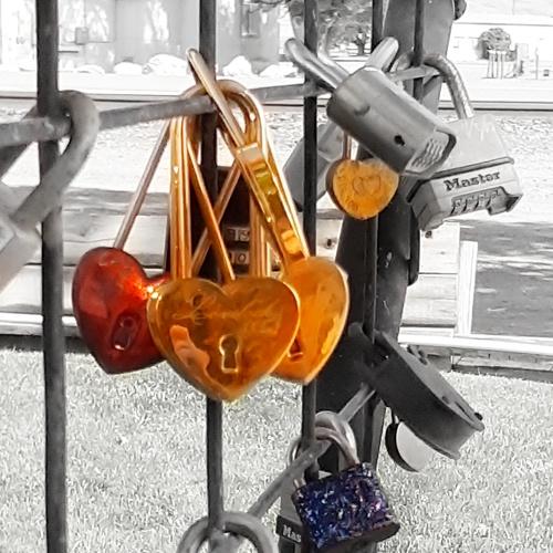 Photo #4625931