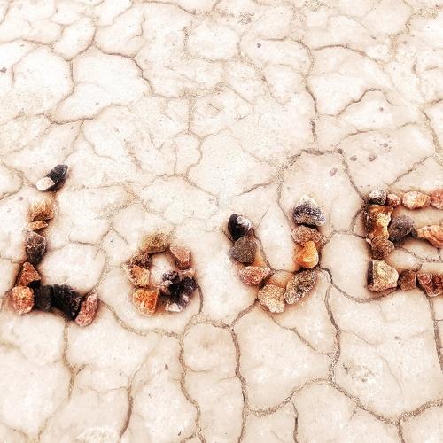 Photo #4625932