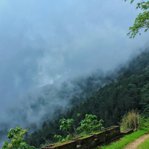 way to the foggy mountains