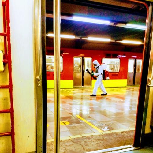 Photo #4626289