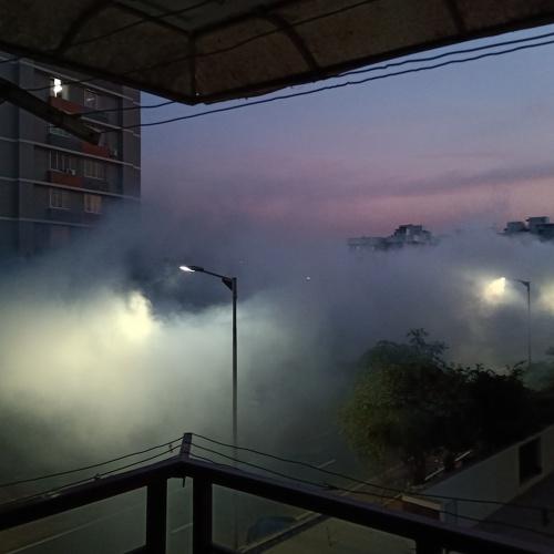 Photo #4626437