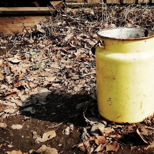 Photo #4626663