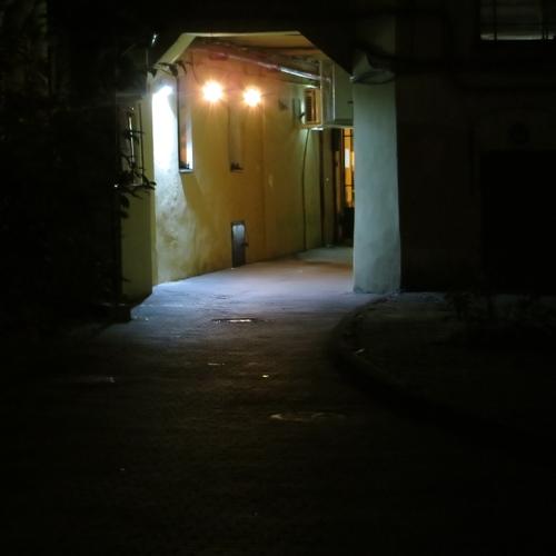 Photo #4626927