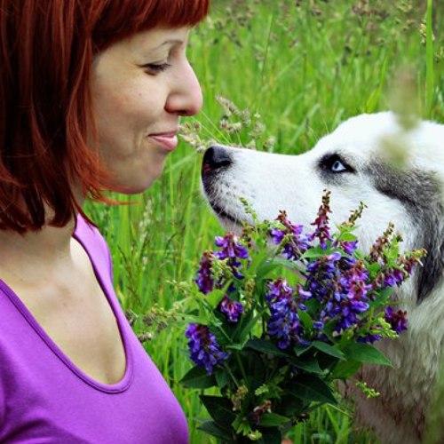 Photo #4627512