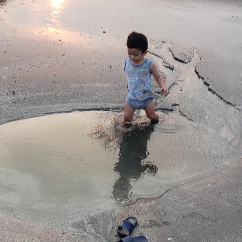 Photo #4628032