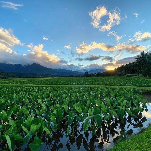Photo #4628070