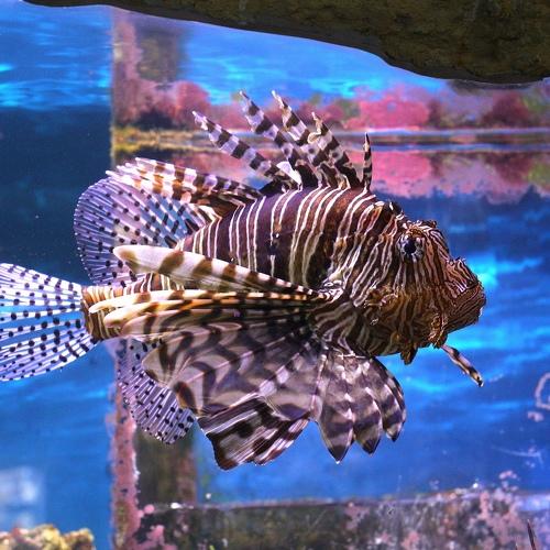 Photo #4628469