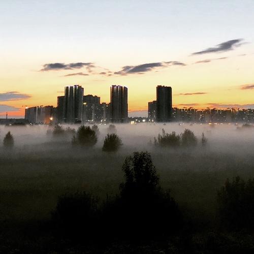 Photo #4628479
