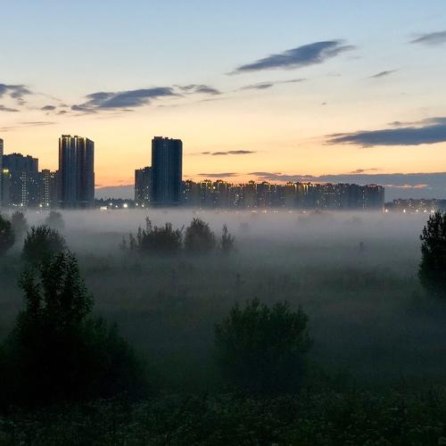Photo #4628480
