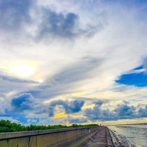 Photo #4628484