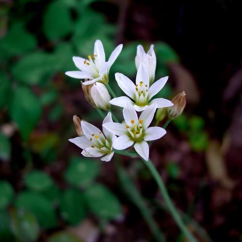 Photo #4628605