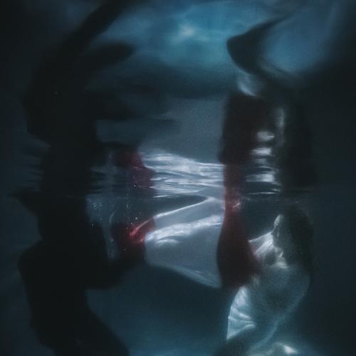 Photo #4628789