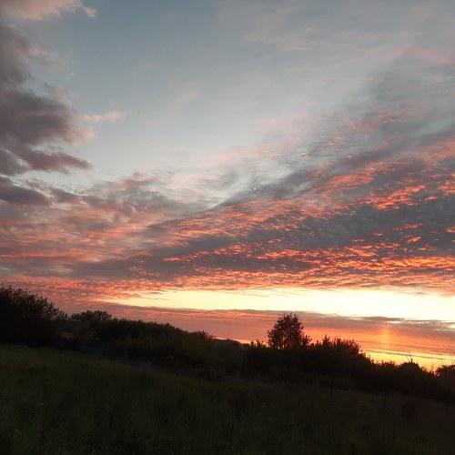 Photo #4628908