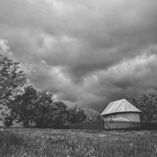 Photo #4629022