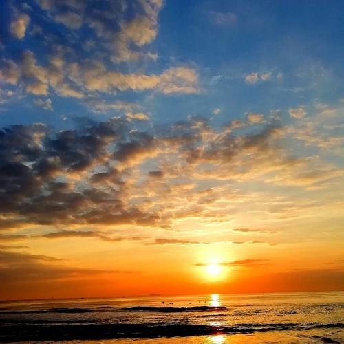 Photo #4629070