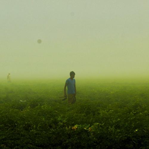 Photo #4629393