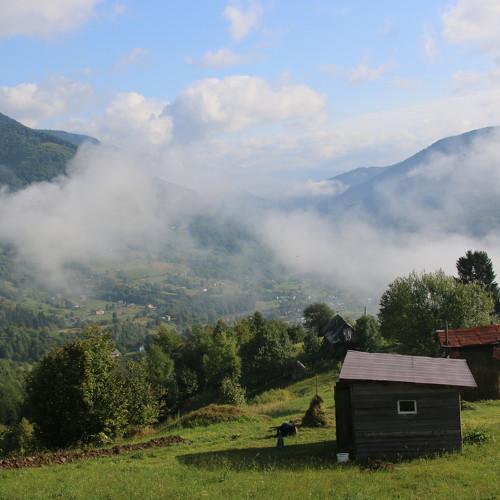 Photo #4629609