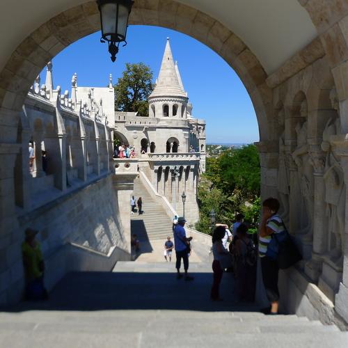 Photo #4629634