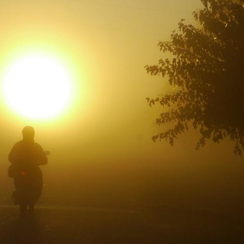 Photo #4629650