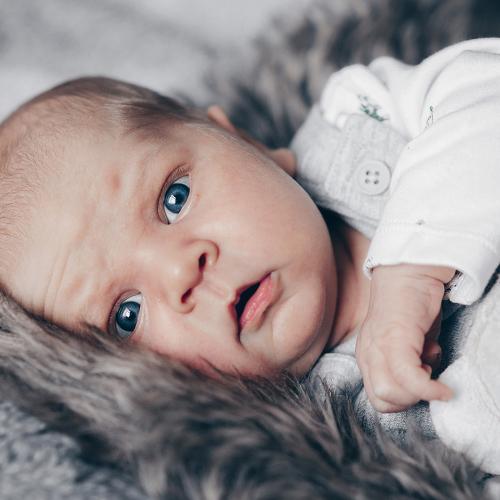 Photo #4629689