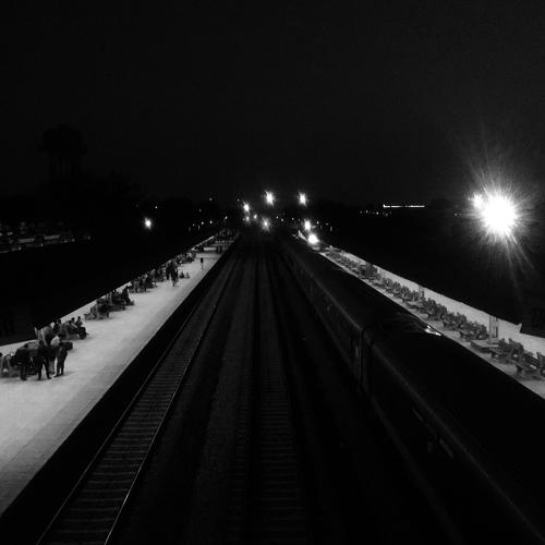 Photo #4629739