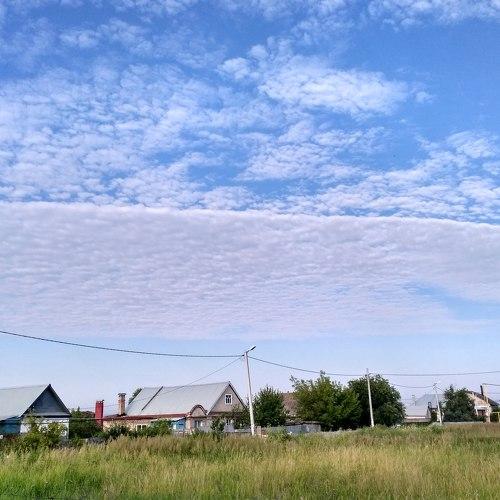 Photo #4629836