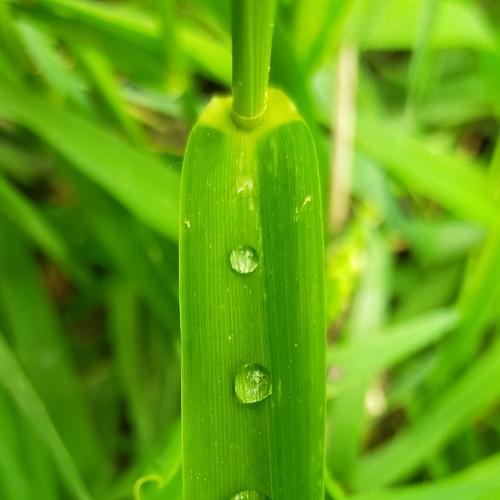 Photo #4629918