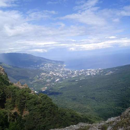 Photo #4630088