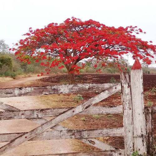 Photo #4630151