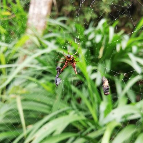 Photo #4630157